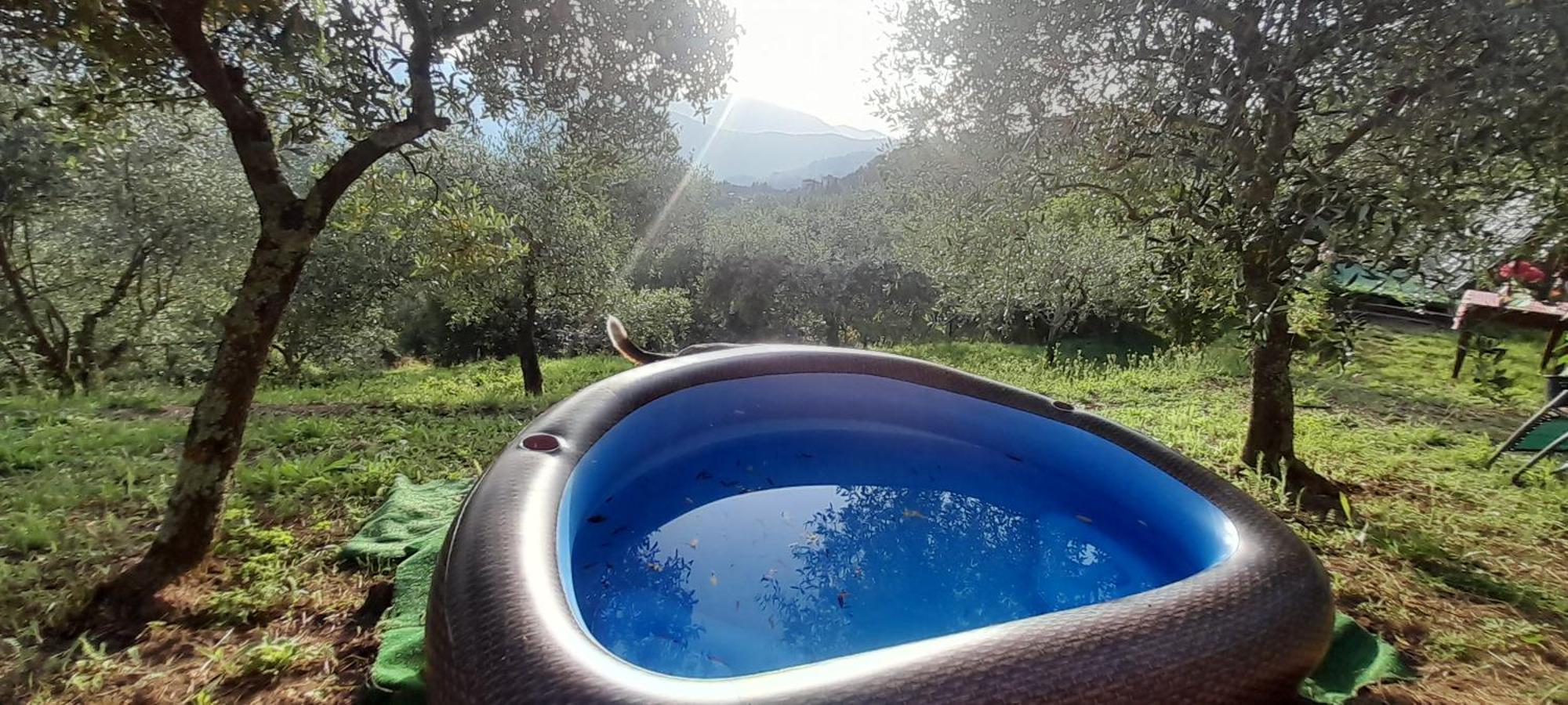 La Fatina Lodge Barga Extérieur photo