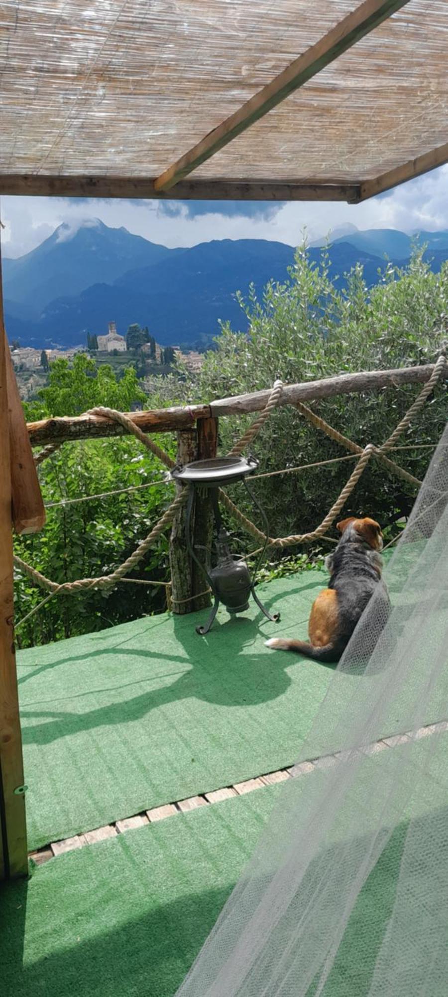 La Fatina Lodge Barga Extérieur photo