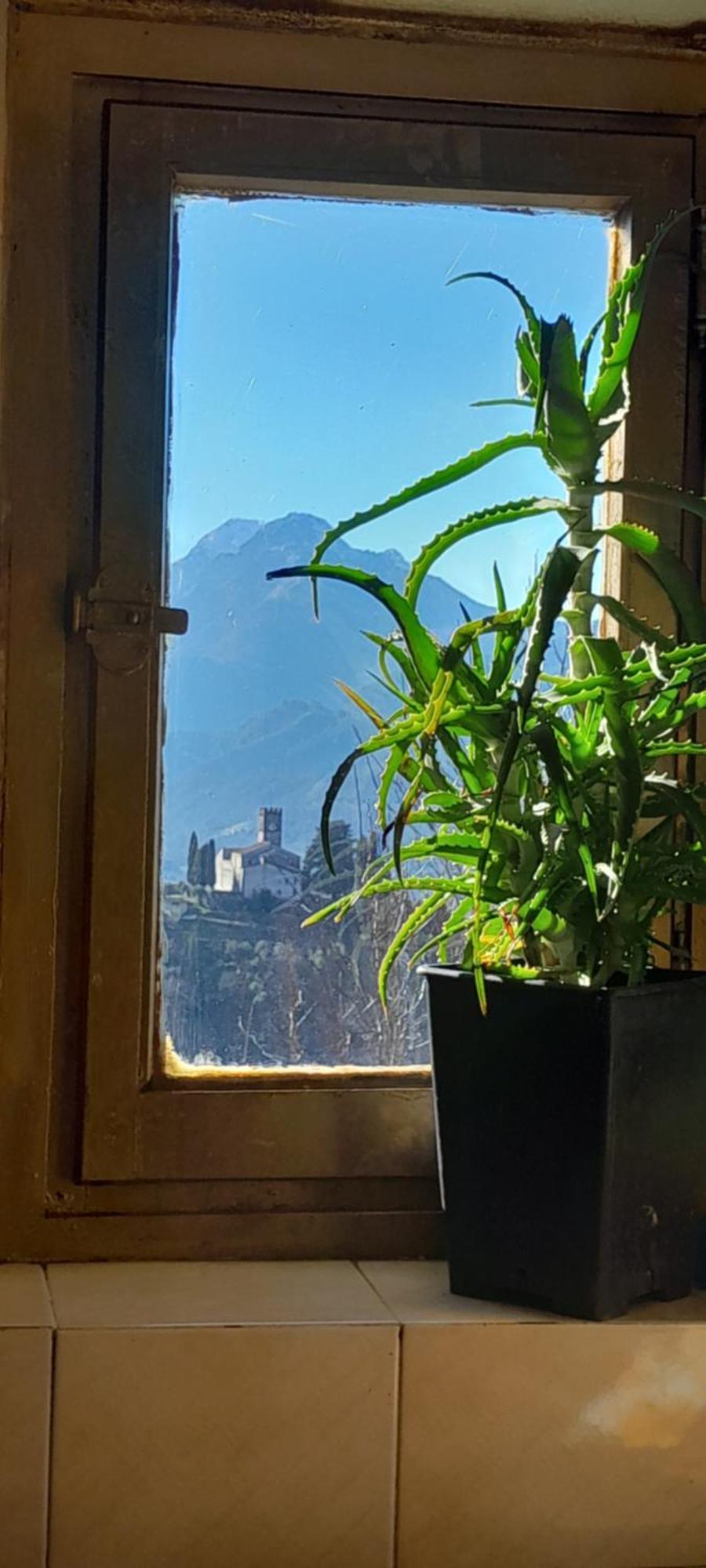 La Fatina Lodge Barga Extérieur photo